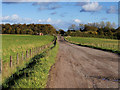 Bryn Gates Lane