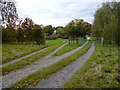 The track to Bank Farm House, Chirbury