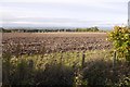 Ploughed field, Softlaw