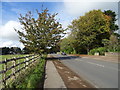 Wye Valley Link Road, Chepstow