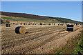 Black-wrapped Bales