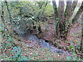 Llwybr yn rhydio nant / Path fording a brook