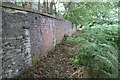 Overgrown footpath along the SW bank of the River Calder