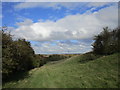 Grassland below Court Hill