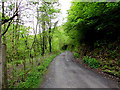 Road through Giedd Forest, Cwmgiedd, Powys