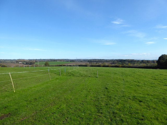 North Meadow