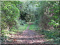 Footpath between Rickmansworth Road and Farm Road