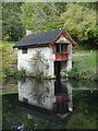 SO8101 : Boat house in Woodchester Park by Philip Halling
