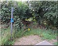 Footpath to Ducksett Lane