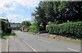 Rectory Lane towards Anstey Lane