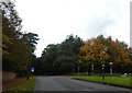 Charcoal Road junction for Dunham Town; autumn tree colour