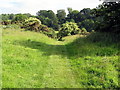 Track near Low Shipley