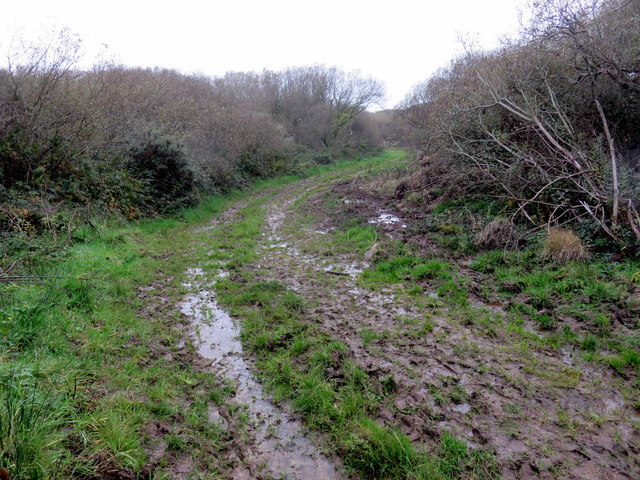 Muddy track between Carnfathach and the Ciliau farms
