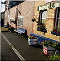 James and Thomas flower tubs on platform 1, Buckley Station