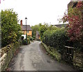 Houses and hedges, Newton, Craven Arms