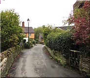 SO4382 : Houses and hedges, Newton, Craven Arms by Jaggery