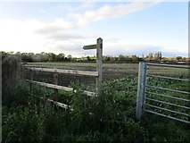 SK5726 : Beginning of a footpath to Church Lane, Costock by Jonathan Thacker