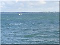 J1914 : Small fishing vessel in a choppy sea on Carlingford Lough by Eric Jones