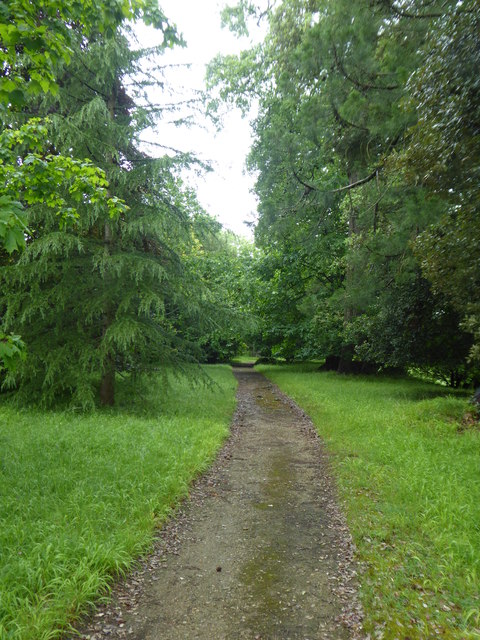 Path through woodland at Corsham Park