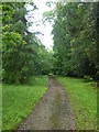 Path through woodland at Corsham Park