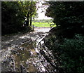 Muddy path to Leominster Cemetery