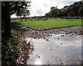 Waterlogged corner of  Leominster Cemetery