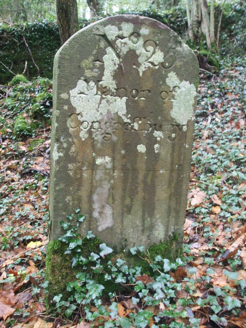 Stone number 25 in Ball Wood © Neil Owen :: Geograph Britain and Ireland