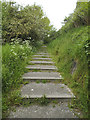 SE2834 : Steps to Rosebank by Stephen Craven