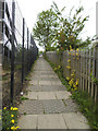 Path from Cardigan Road to Burley Park