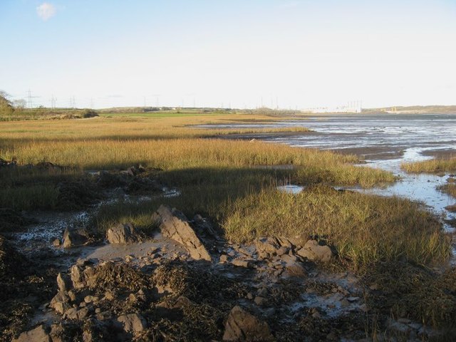 Salt marsh by the Pembroke River