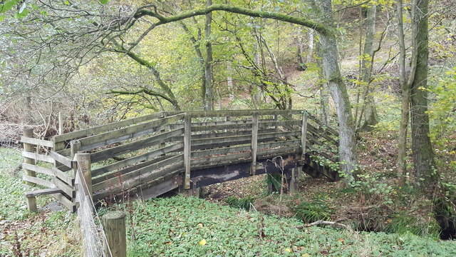 Small footbridge over the Kindle Burn on the edge of Towsbank Wood