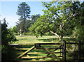 SO8844 : Private Garden in Croome Park by Des Blenkinsopp
