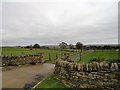 View to the east from Hepple Hill