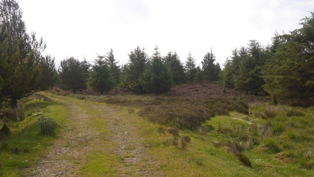 Track Ray Fell © Richard Webb Geograph Britain And Ireland