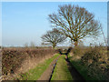 Farm track and public footpath, White Notley