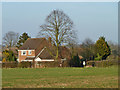 Houses on Church Hill, White Notley