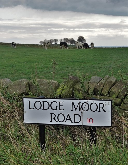 On Lodge Moor Road looking to Bole Hill