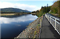 The River Eachaig