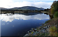 The River Eachaig