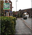 Vote Green Party, High Street, Stonehouse