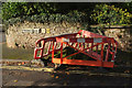 Barriers around tree stump, Parkhurst Road, Torquay