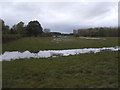 Waterlogged field near Arrow Fisheries