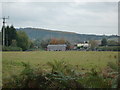 Farmland at Stapleton