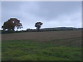 Stubble field, Orleton