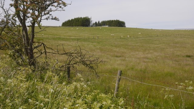 Fields, Cowden © Richard Webb cc-by-sa/2.0 :: Geograph Britain and Ireland