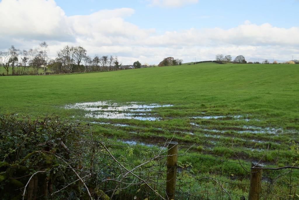 wet-ground-seskinore-kenneth-allen-cc-by-sa-2-0-geograph-ireland