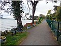 J1515 : The Omeath to Carlingford Greenway bordering the Rosminian Memorial Garden by Eric Jones