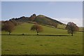 View towards Bizzyberry Hill