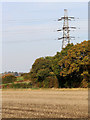 Stubble field, trees and pylon near Castlecroft, Wolverhampton