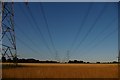 TM3960 : Pylon lines north of Snape by Christopher Hilton